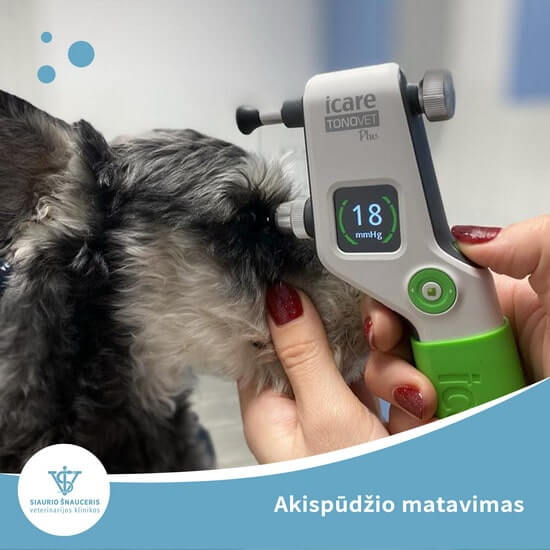 Akispūdžio matavimas