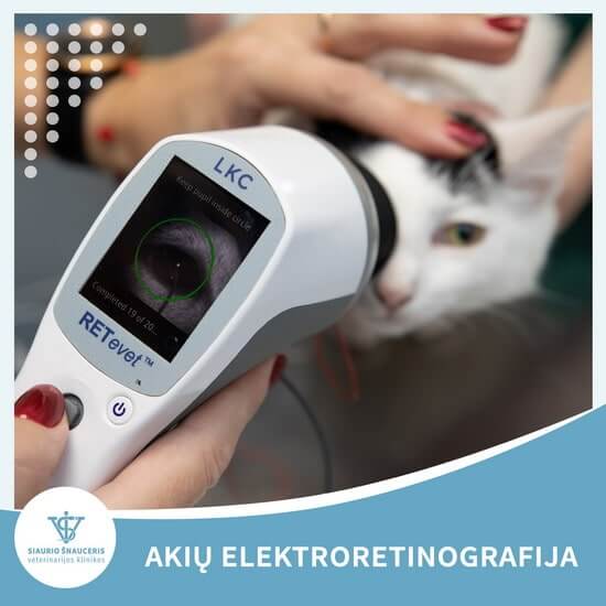 Akių elektroretinografija