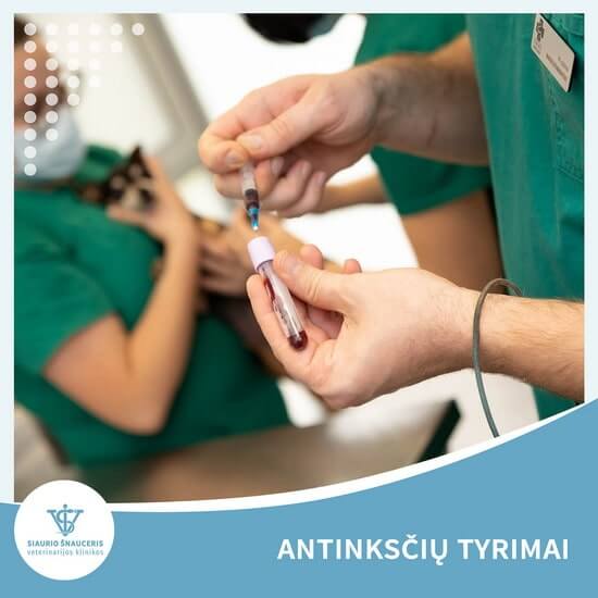 Antinksčių tyrimai