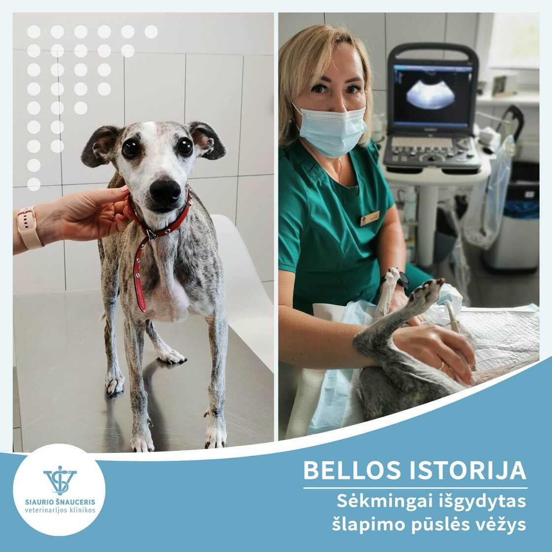 Bellos istorija – šlapimo pūslės karcinoma