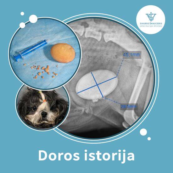 Doros istorija