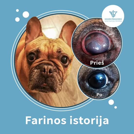 Farinos istorija