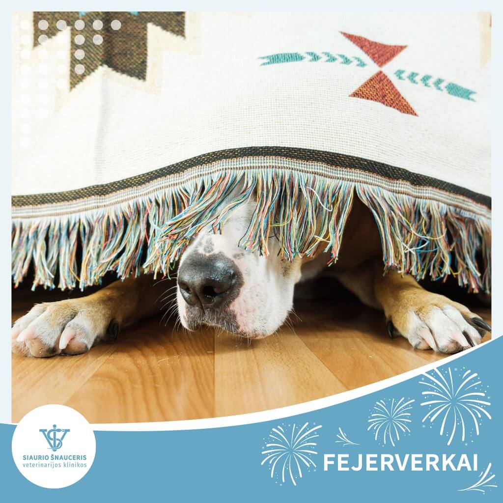 Fejerverkai