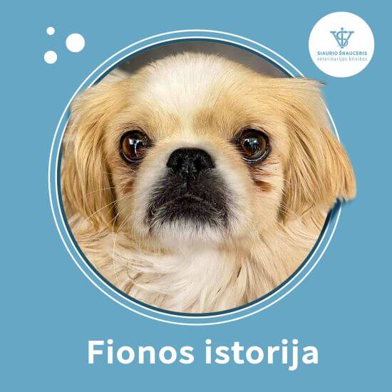 Fionos istorija