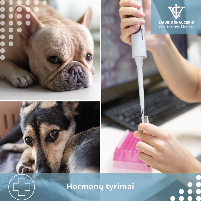 Hormonų tyrimai