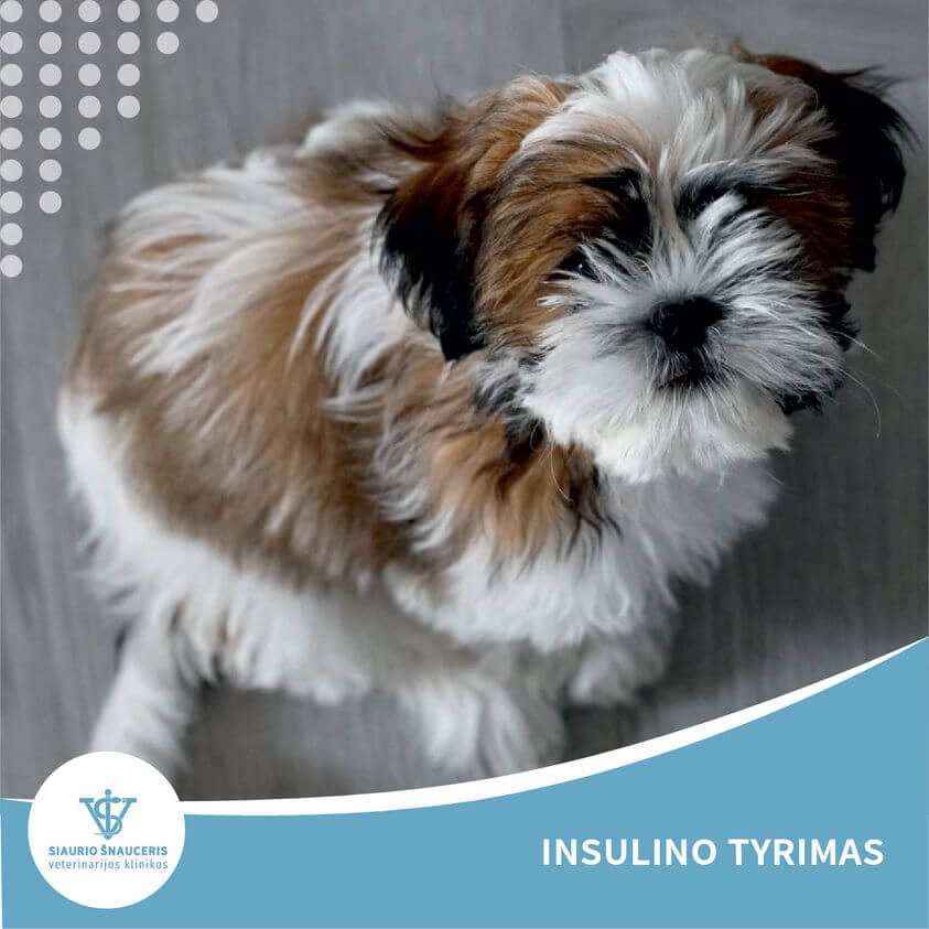 Insulino tyrimas