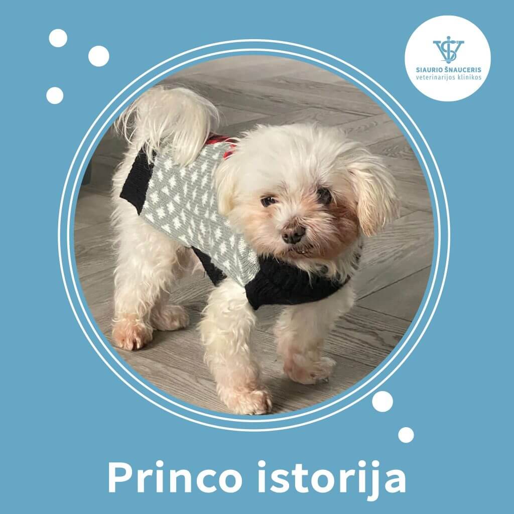 Princo istorija – akis