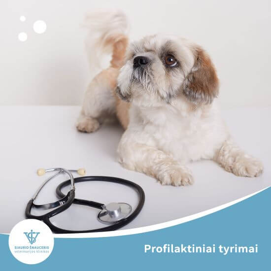 Profilaktiniai tyrimai