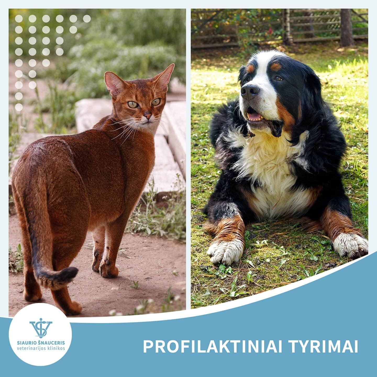 Profilaktiniai tyrimai